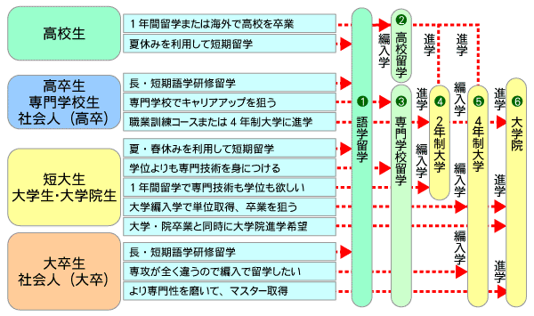 教育システムの流れ