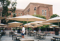 UCLA